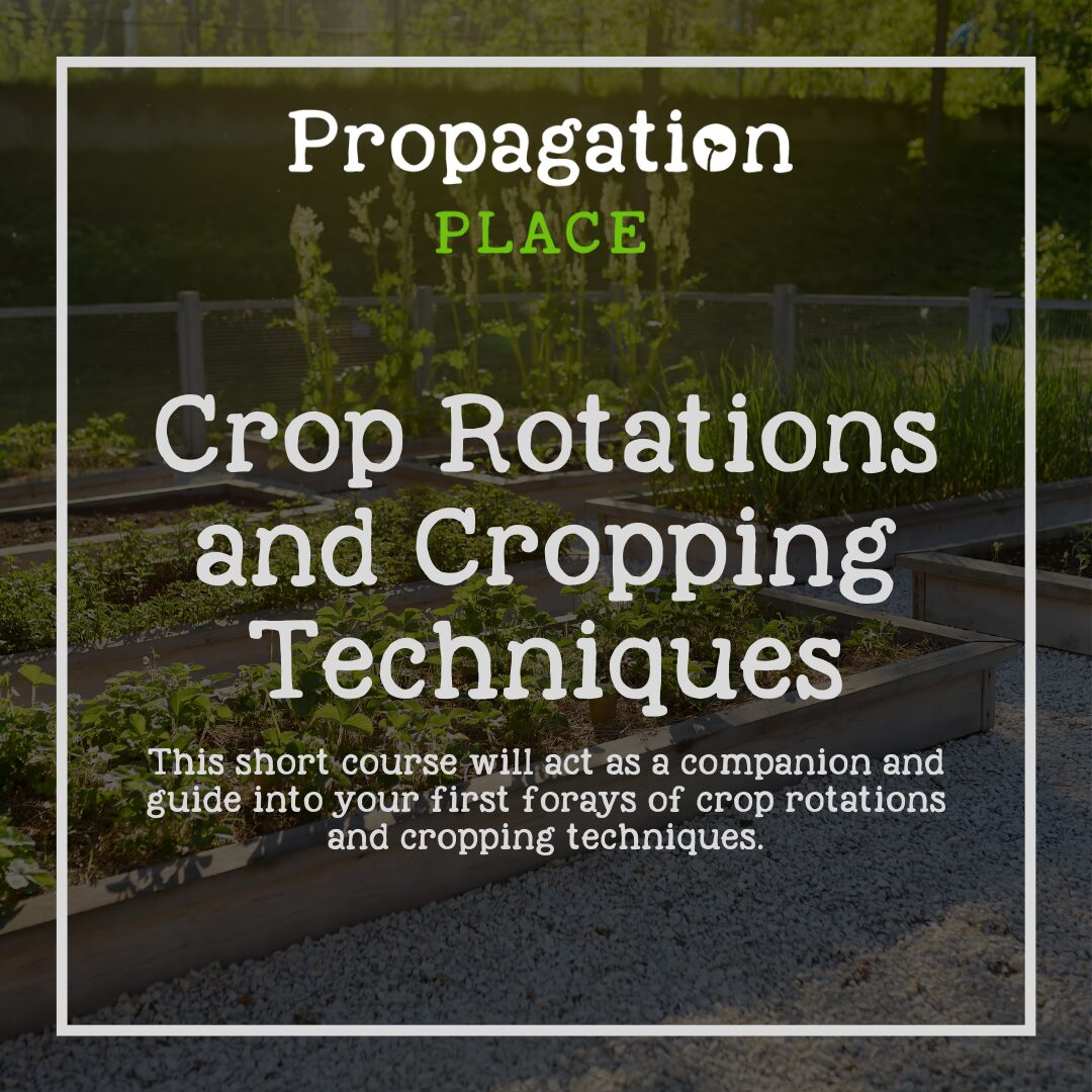 Crop Rotations and Cropping Techniques