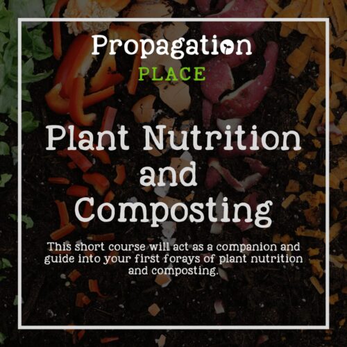 Plant Nutrition and Composting (Vegetable Gardening for Beginners module 3)