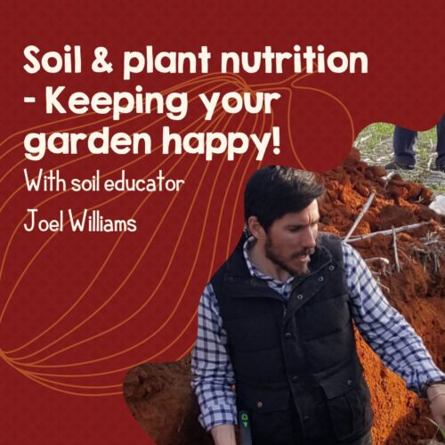 Soil Health and Plant Nutrition (recorded workshop)