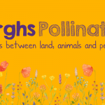 Introducing our WECA Pollinator Project